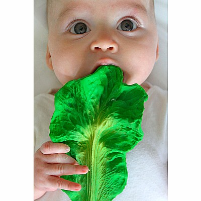 Oli & Carol Kendall the Kale Teether