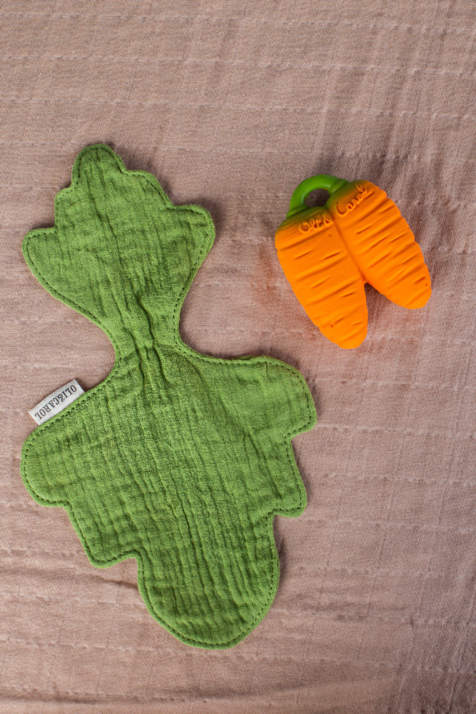 Oli & Carol Cathy the Carrot Mini Doudou Teether