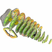 Eugy Chameleon 3D Cardboard Model Kit