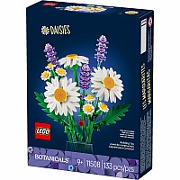 BOTANICALS Daisies
