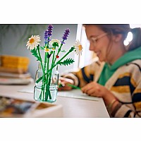BOTANICALS Daisies