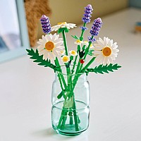 BOTANICALS Daisies