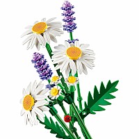 BOTANICALS Daisies