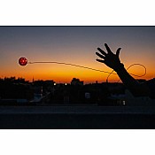 Waboba LED BounceBack Moonshine Asst