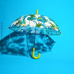 Amazing Colour Changing Umbrella! - Dinosaur