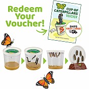 The Original Butterfly Garden Life Cycle Kit: with Prepaid Voucher