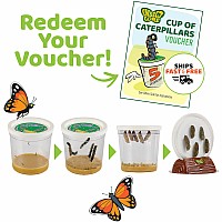 The Original Butterfly Garden Life Cycle Kit: with Prepaid Voucher