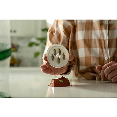 The Original Butterfly Garden Life Cycle Kit: with Prepaid Voucher