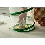 The Original Butterfly Garden Life Cycle Kit: with Prepaid Voucher