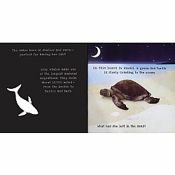 Animal Journeys A Shine-A-Light Book