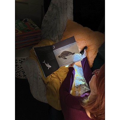 Animal Journeys A Shine-A-Light Book