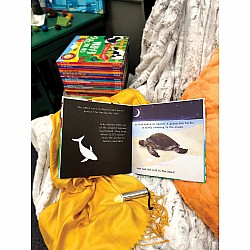 Animal Journeys A Shine-A-Light Book