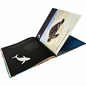 Animal Journeys A Shine-A-Light Book