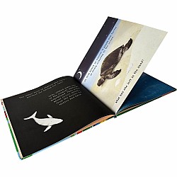 Animal Journeys A Shine-A-Light Book