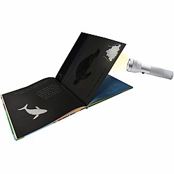 Animal Journeys A Shine-A-Light Book