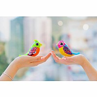 DigiBirds - Single Pack Asst