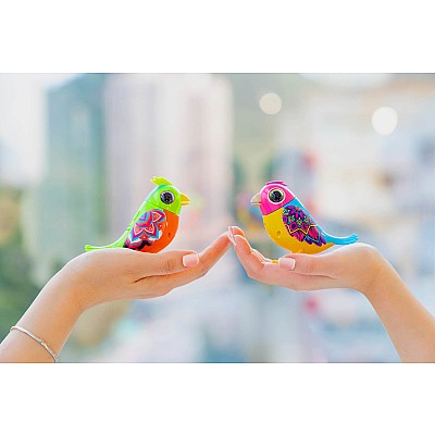 DigiBirds - Single Pack Asst