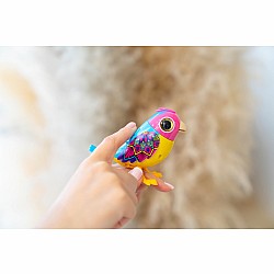 DigiBirds - Single Pack Asst