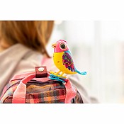 DigiBirds - Single Pack Asst
