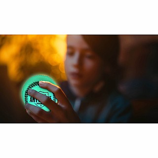 LED Light Up Baseball