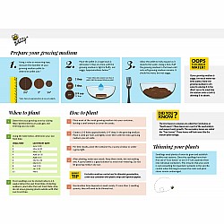 Save the Bees Pollinator Grow Kit