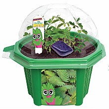 Summer Activity Class: Grow Your Own Moving Plant