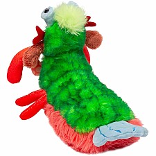 Punchie Peacock Mantis Shrimp