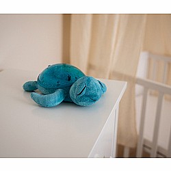 Cloud b Tranquil Turtle