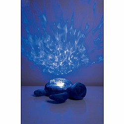 Cloud b Tranquil Turtle