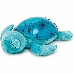 Cloud b Tranquil Turtle