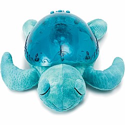 Cloud b Tranquil Turtle
