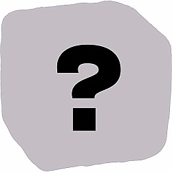 Knead That Sushi! Mystery Squishy Plush