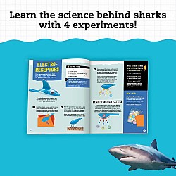 KLUTZ STEAM Lab Shark-tastic Teeth!