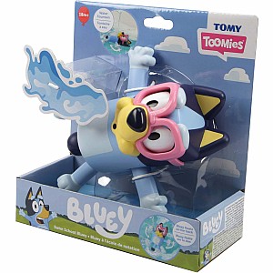Swim School Bluey
