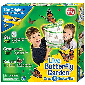 Live Butterfly Garden by Insect Lore