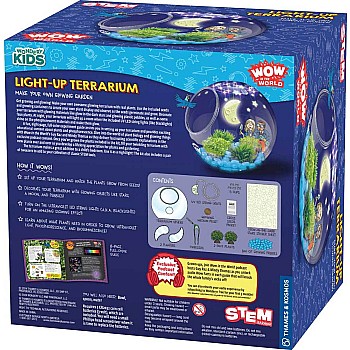 Light-Up Terrarium