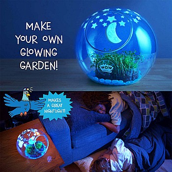 Light-Up Terrarium