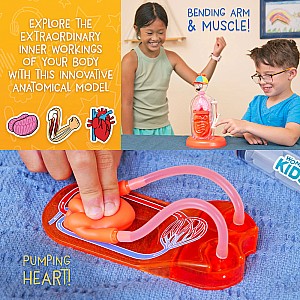 Wow in the World: The Amazing Human Body