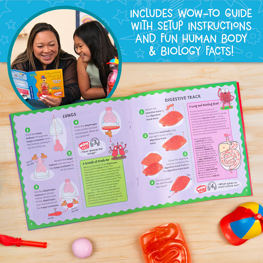 Wow in the World: The Amazing Human Body