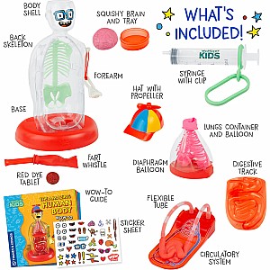 Wow in the World: The Amazing Human Body