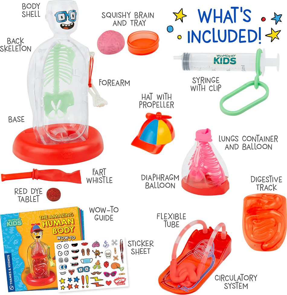 Wow in the World: The Amazing Human Body