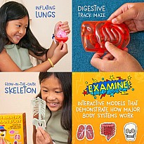 Wow in the World: The Amazing Human Body