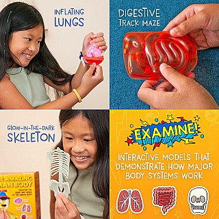 Wow in the World: The Amazing Human Body