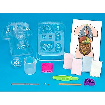 Gross Anatomy Kit