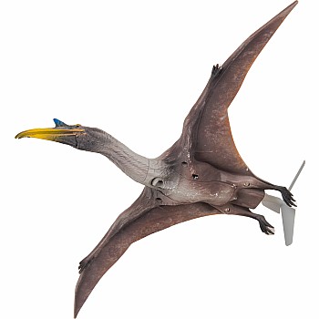 Flying Pterosaur