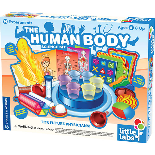 human body toys