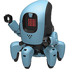 KAI: The Artificial Intelligence Robot