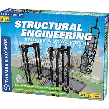 Structural Engineering: Bridges and Skyscrapers