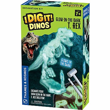 I Dig It! Dinos - Glow-in-the-Dark T. Rex Excavation Kit