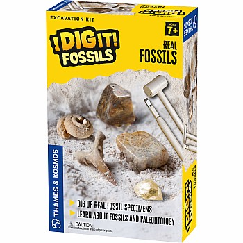 I Dig It! Fossils - Real Fossils Excavation Kit